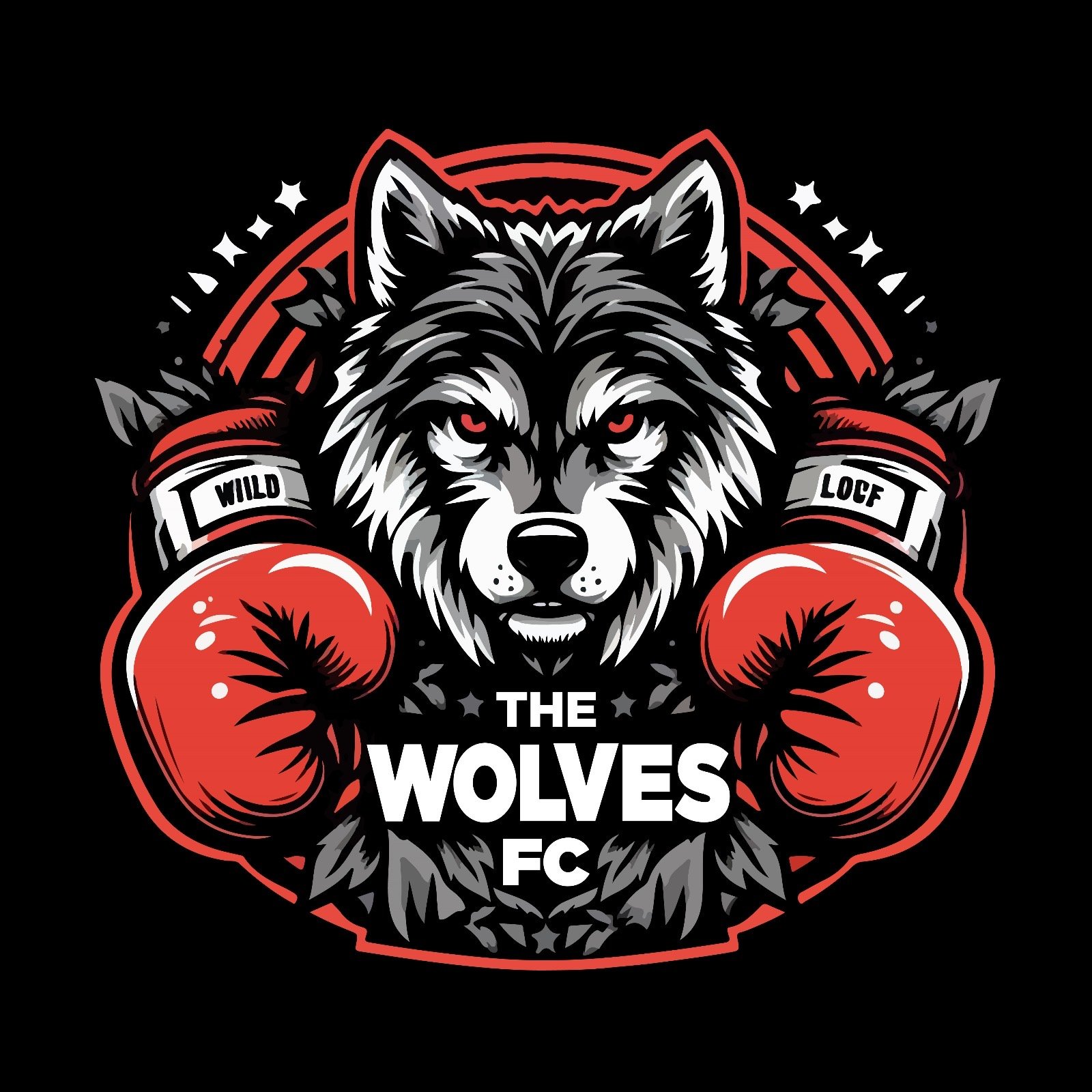 Wolves Sport Academy